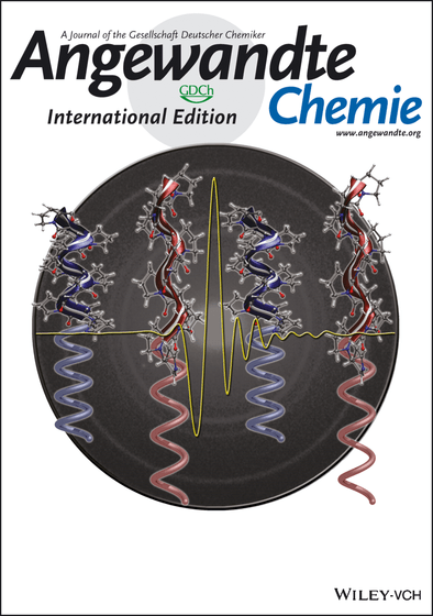Work Featured on the Cover of Angewendte Chemie